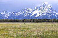 Foothills Fine Art Print