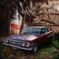 USA Rustic Classic Fine Art Print