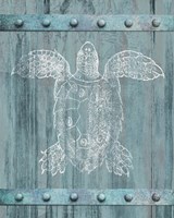 White Turtle On Blue Fine Art Print
