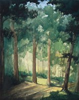 Walk In The Woods Fine Art Print