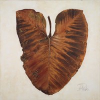 Amazonas I Framed Print