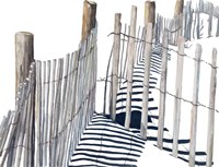 Shadows Of Paradise Fine Art Print