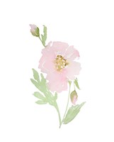 Garden Of Joy II Fine Art Print