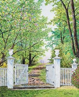 Narrow Is The Path Fine Art Print