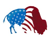 Patriotic Bison Fine Art Print