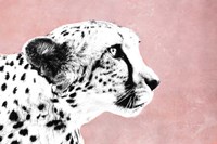 Wild Fine Art Print