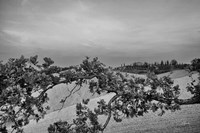 Villa View Fine Art Print