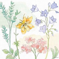 Peaceful Petals VII Fine Art Print