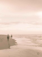 Horses on the Beach Crop Fine Art Print