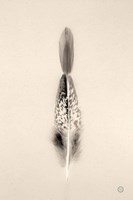 Floating Feathers I Sepia Fine Art Print