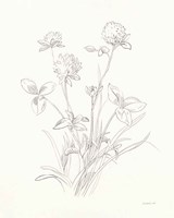 Nature Sketchbook VIII Framed Print