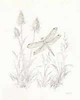Nature Sketchbook IV Framed Print