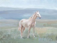 Mountain Mare Fine Art Print