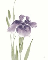 Japanese Iris III Purple Crop Fine Art Print