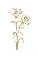 Gold Line Carnation II Fine Art Print