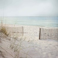 Beach Fence Fine Art Print