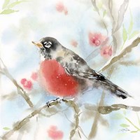 Spring Robin Fine Art Print