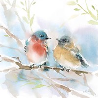Bluebird Pair in Spring Framed Print