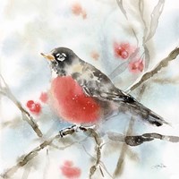 Winter Robin Fine Art Print