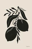 Lemon Silhouette II Fine Art Print