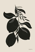 Lemon Silhouette I Fine Art Print