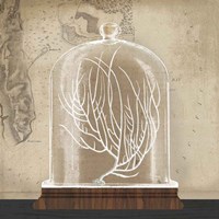 Coral Cloche II Fine Art Print