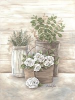 Rose Botanical Fine Art Print