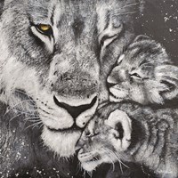 Lioness Fine Art Print