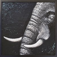 Quiet Strength Fine Art Print