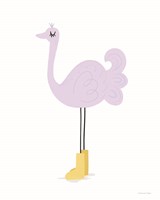 Ostrich Fine Art Print