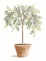 Topiary I Fine Art Print