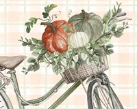 Bountiful Basket on a Bike II Framed Print