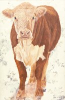 Mollie Moo Fine Art Print