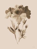 Sepia Botanical I Fine Art Print