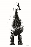 Duck in Docs Fine Art Print