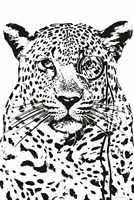 Cheeky Cheetah Fine Art Print