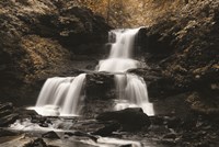 Golden Waterfall II Fine Art Print