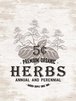 Herbs Framed Print