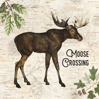 Moose Crossing Fine Art Print