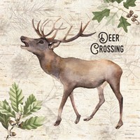 Deer Crossing Framed Print