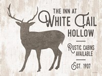 White Tail Hollow Fine Art Print