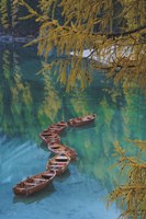 S Curve Fine Art Print