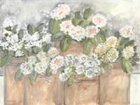 Windowsill Blooms Fine Art Print