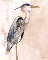 Heron 1 Fine Art Print