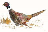 Pheasant 2 Fine Art Print