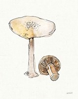 Fresh Farmhouse Mushrooms IV Fine Art Print