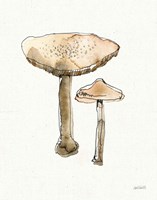 Fresh Farmhouse Mushrooms II Framed Print