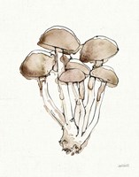 Fresh Farmhouse Mushrooms I Framed Print