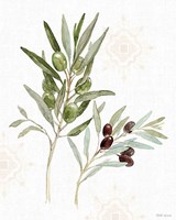 Mediterranean Motif VIII Fine Art Print