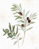 Mediterranean Motif IX Fine Art Print